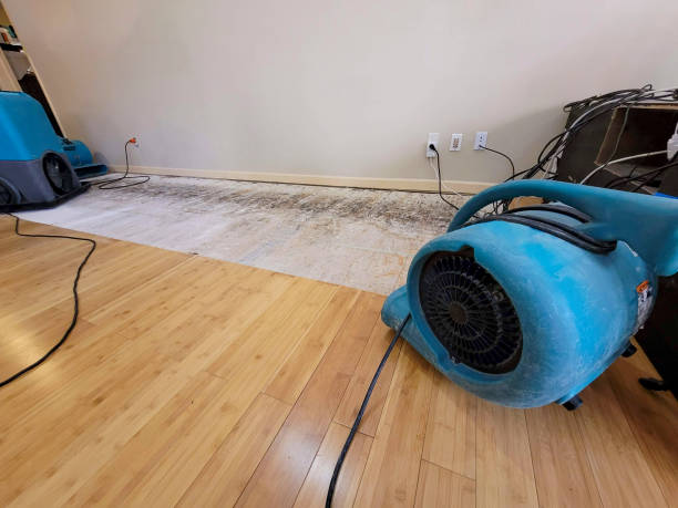 Professional Basement Flood Cleanup technician working in Cornish, ME